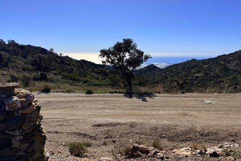Finca i Tabernas, Almeria, Tabernas - € 2.345.000 | Ref: GVCFSA - foto 29